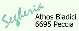 Segheria Biadici Athos - logo